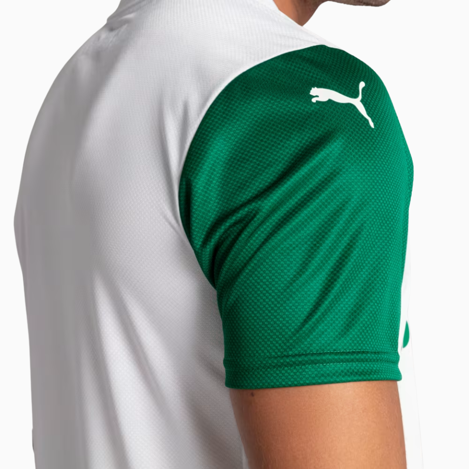 Palmeiras 25/26 Reserva (Jogador)