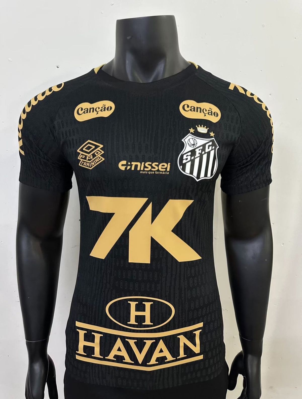 Santos Treino (Jogador)