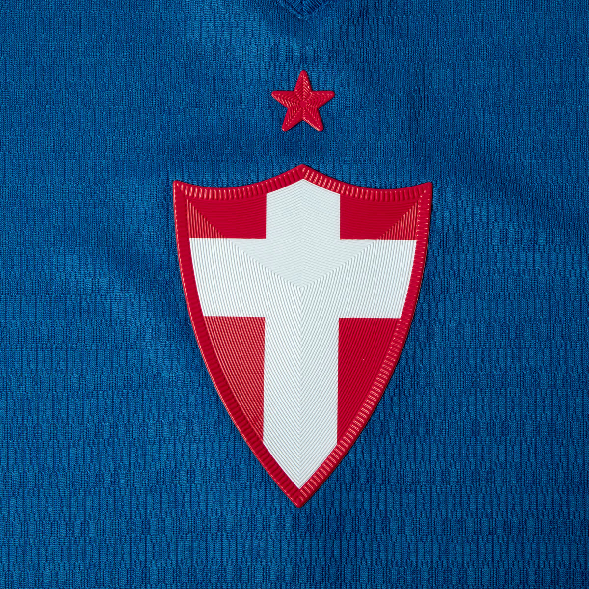 Palmeiras 26/27 III (Jogador)