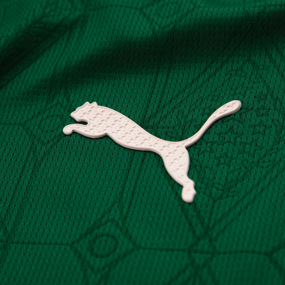 Palmeiras 25/26 Titular (Jogador)
