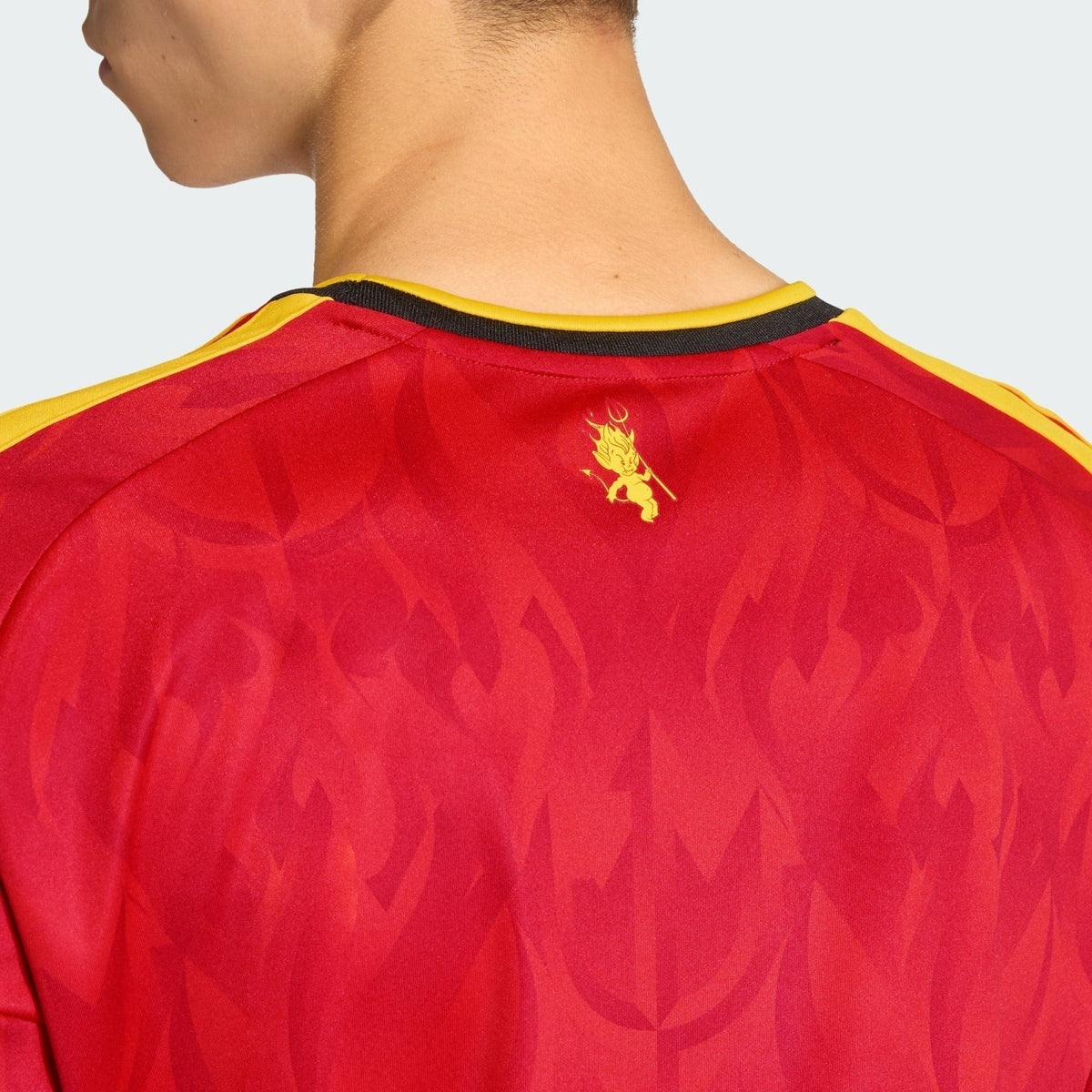 Bélgica 2026 I