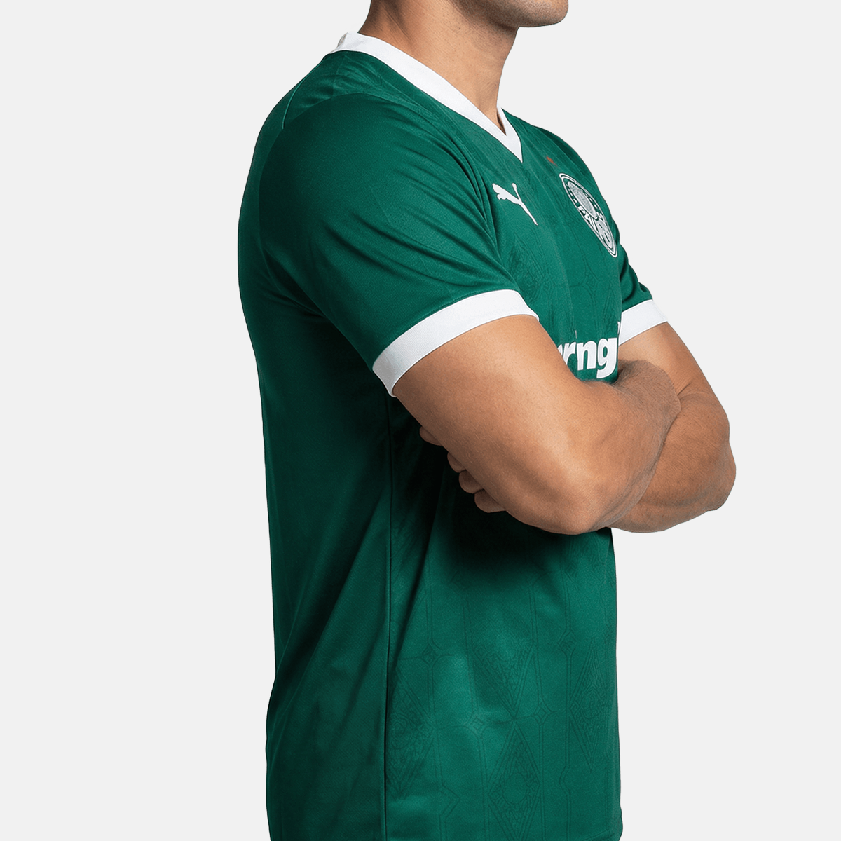 Palmeiras 25/26 Titular (Jogador)