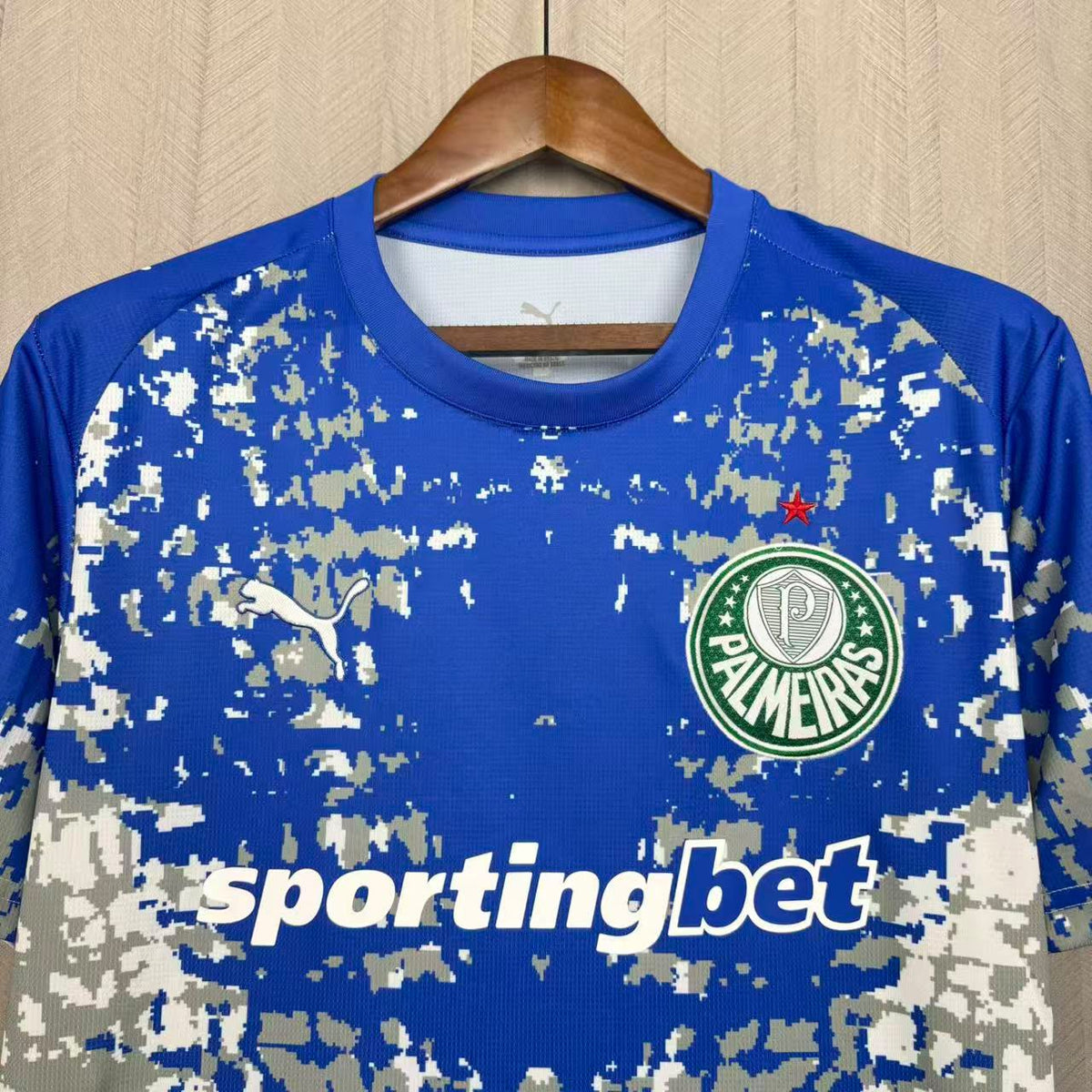Palmeiras 26/27 Goleiro (Azul)