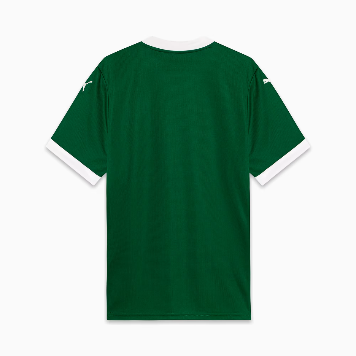 Palmeiras 25/26 Titular