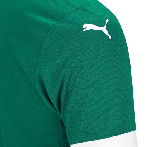 Palmeiras 25/26 Titular