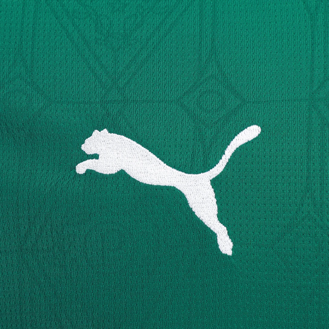 Palmeiras 25/26 Titular