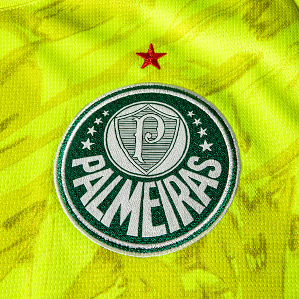 Palmeiras 26/27 Goleiro III